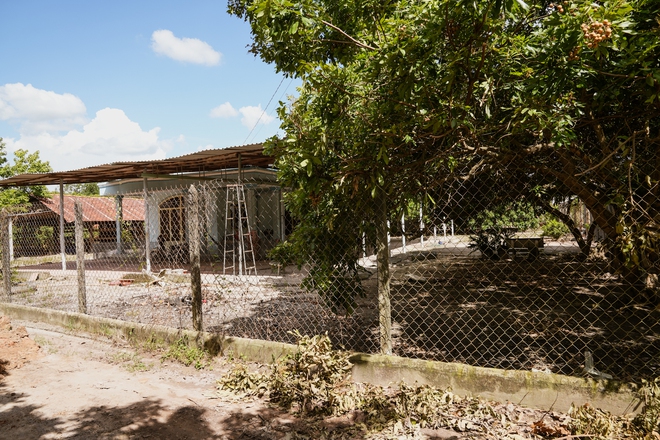 Về Tây Ninh nghe hàng xóm hóng chuyện Tân Hoa hậu: Trước HHen Niê ngồi máy cày, giờ Ngọc Châu đi xe bò diễu hành là vui nữa-3