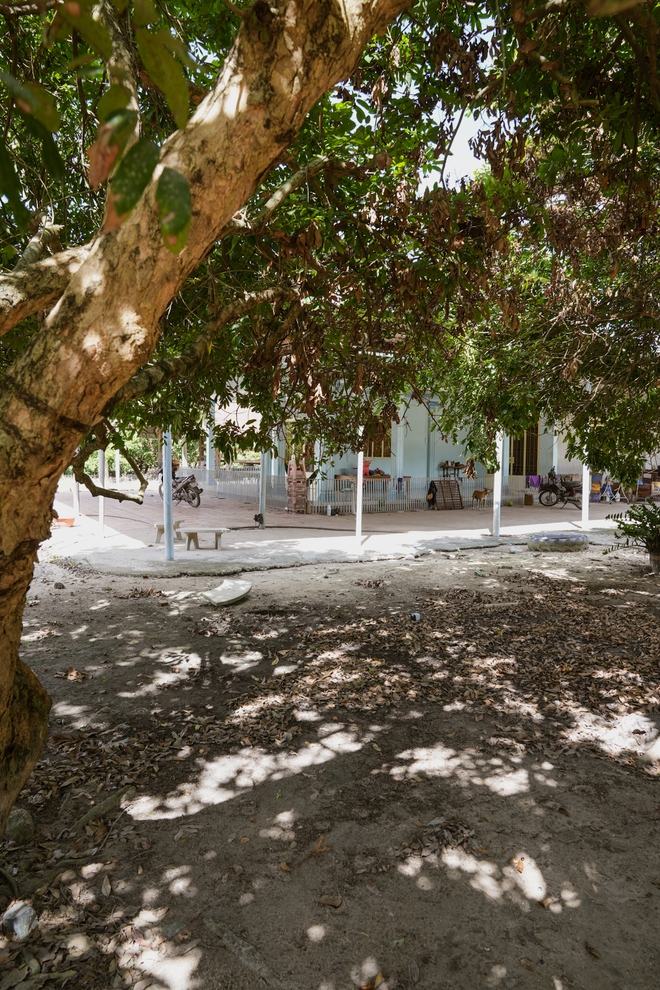 Về Tây Ninh nghe hàng xóm hóng chuyện Tân Hoa hậu: Trước HHen Niê ngồi máy cày, giờ Ngọc Châu đi xe bò diễu hành là vui nữa-6