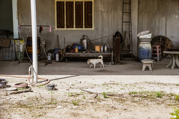 Về Tây Ninh nghe hàng xóm hóng chuyện Tân Hoa hậu: Trước HHen Niê ngồi máy cày, giờ Ngọc Châu đi xe bò diễu hành là vui nữa-4