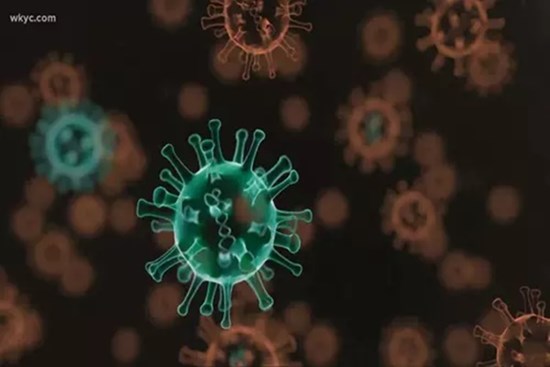 Biến thể phụ BA.5 của Omicron đã xâm nhập vào Việt Nam