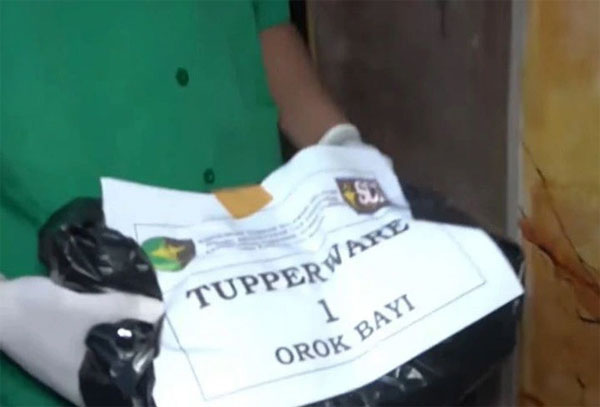 Chủ nhà rụng rời chân tay phát hiện ra 7 bào thai trong hộp giấy tại phòng trọ khách thuê-2