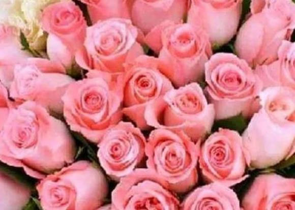 Người phụ nữ sinh vào 3 khung giờ này cuộc đời sung sướng hạnh phúc, được chồng sủng ái và con cái hiếu thảo-2