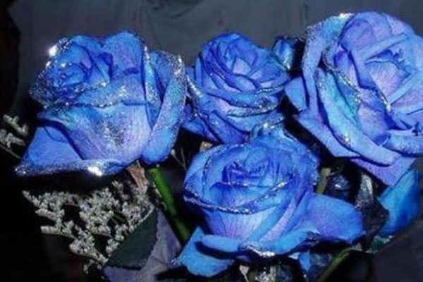 Người phụ nữ sinh vào 3 khung giờ này cuộc đời sung sướng hạnh phúc, được chồng sủng ái và con cái hiếu thảo-3