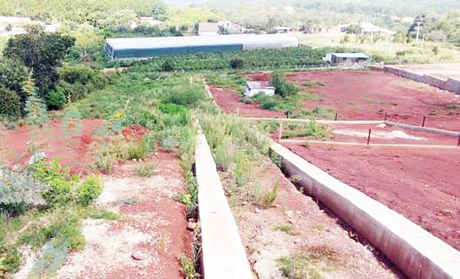 Vợ nguyên Giám đốc Sở Tư pháp Lâm Đồng bị truy tố về tội lừa đảo-3