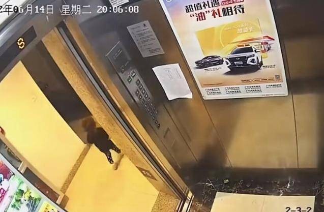 Bé gái 21 tháng tuổi rơi từ tầng 8 chung cư tử vong, nguyên nhân đến từ người bảo mẫu mới làm việc được 6 ngày-4