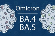 Sự nguy hiểm của biến chủng BA.5 Omicron vừa xuất hiện tại Việt Nam