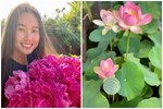 NSND Hồng Vân khoe không gian sống của con gái đầu lòng tại Mỹ, mê nhất là vườn trái cây trĩu quả-11