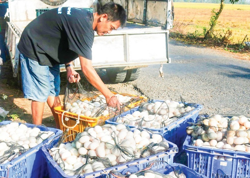 Nắng nóng, giá cua đồng tăng từng ngày; giá thịt gia cầm, thịt lợn, trứng cũng leo thang-1