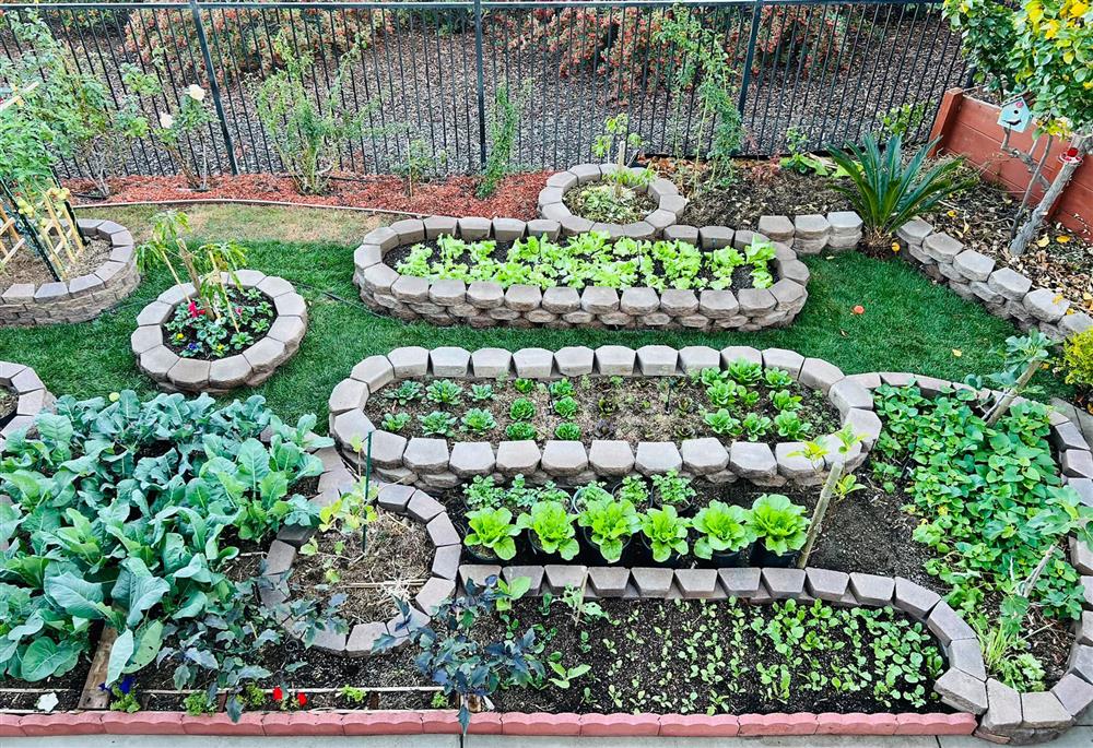 15 cách tiết kiệm tiền bổ ích nhất định bạn nên học từ mẹ của mình-5