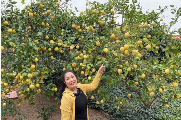 NSND Hồng Vân khoe không gian sống của con gái đầu lòng tại Mỹ, mê nhất là vườn trái cây trĩu quả-9