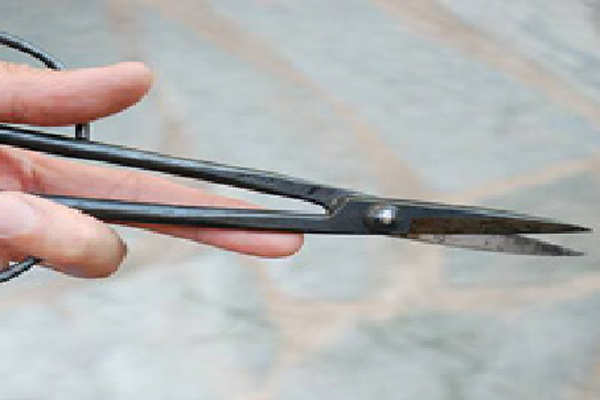 Vụ nam sinh viên chết trong phòng trọ ở Bình Dương: Bức thư tuyệt mệnh viết gì?-2