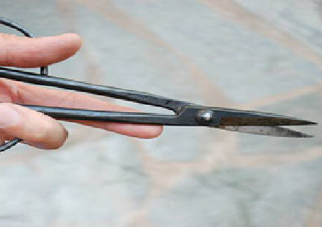 Cãi nhau với vợ, chồng bị ném kéo trúng cổ tử vong-1