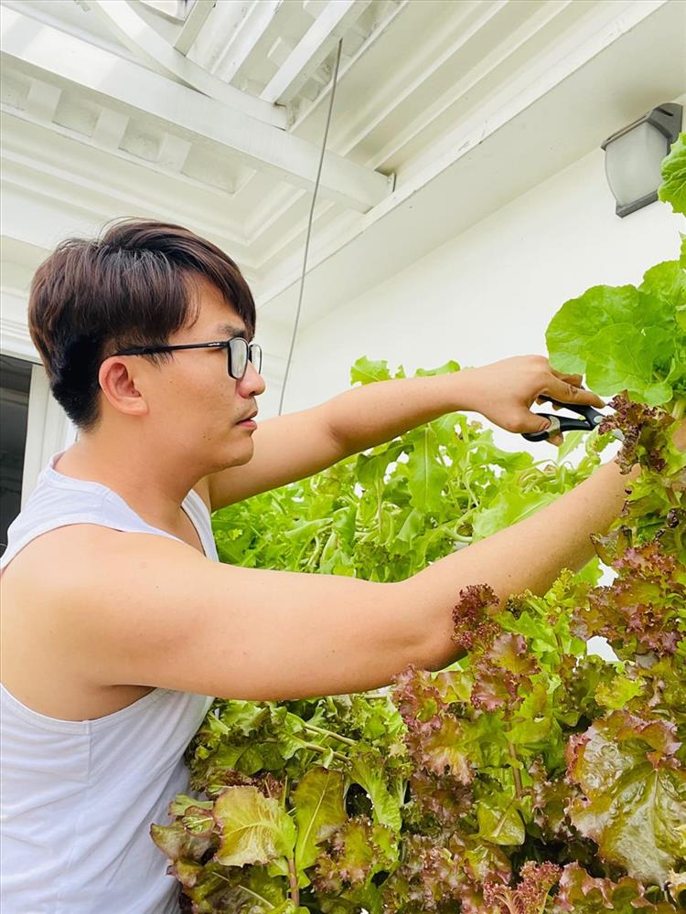 MC Đại Nghĩa hé lộ vườn rau sạch đủ các loại bên trong biệt thự triệu đô-9
