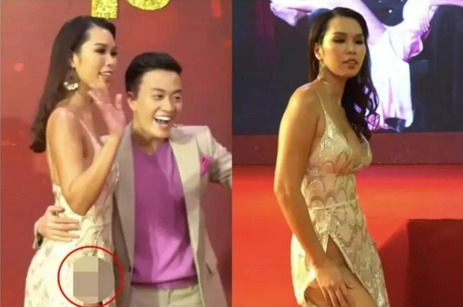 Hà Anh 5 lần 7 lượt mặc phản cảm, từng bị cấm diễn 3 tháng-10