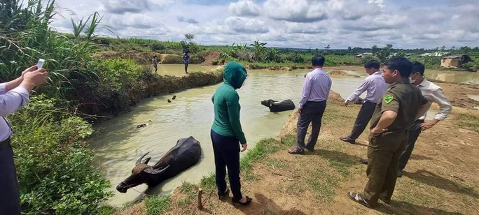 Phát hiện thi thể 2 chị em ruột trong ao nước gần nhà-1