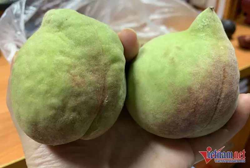 Đào Trung Quốc tràn chợ, giá cao chót vót vẫn đắt hàng-2