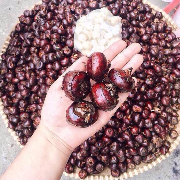 Loại củ ăn đến đâu mát ruột đến đó, vừa dưỡng sinh vừa chữa được 8 bệnh, mùa hè đang nhiều-3