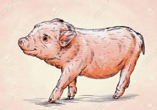 Top 3 con giáp giàu sang chẳng ai sánh kịp, bội thu hỷ sự, công danh sự nghiệp thăng tiến bất ngờ trong 2 tháng tới-3