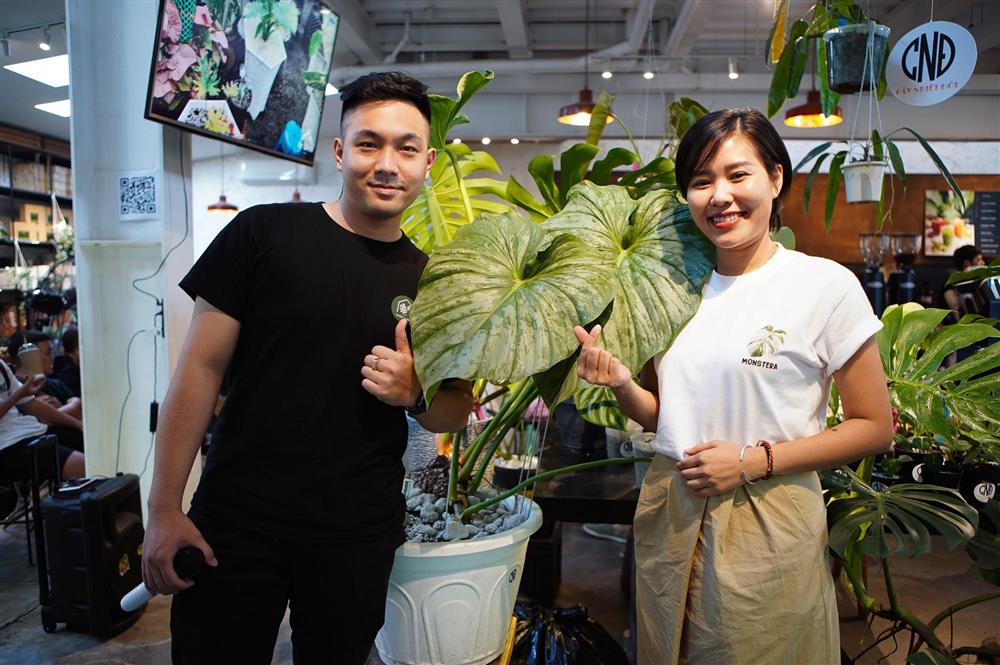 Choáng với thú chơi lá kiểng bạc tỷ của những dân chơi ở Hà Nội-4