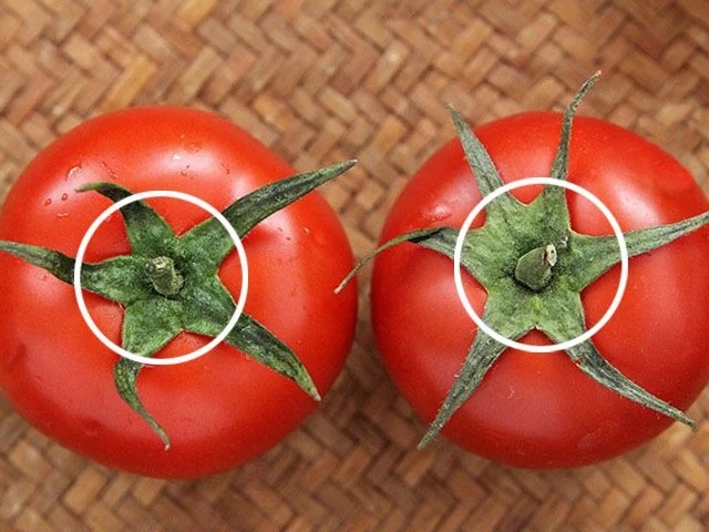 Người trồng cà chua bật mí: Mua cà chua cứ nhìn vào điểm này biết ngay ngon ngọt hay không?-2