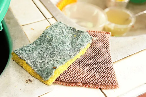 7 thứ trong nhà bếp là ổ chứa vi khuẩn đang âm thầm hại cả nhà bạn, ít ai để ý-1