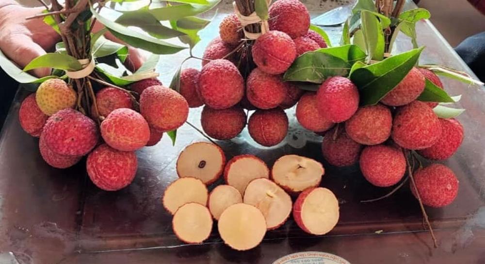 Vải không hạt 200 nghìn/kg gây sốt thị trường-1