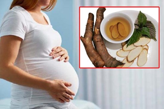 Củ gai có tác dụng gì cho bà bầu? Cách dùng củ gai đúng cách