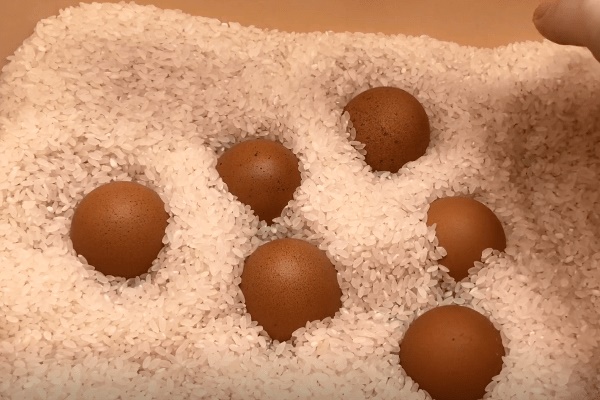 Không cần cho trứng vào tủ lạnh, đây là cách bảo quản trứng cả nửa năm giữ nguyên dinh dưỡng cực đơn giản-2