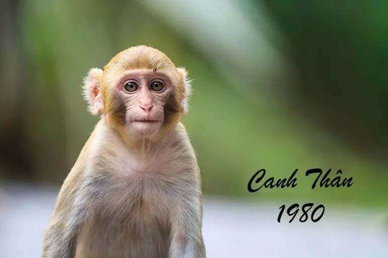 Hạn TAM TAI Canh Thân 42 tuổi: Cả đời gầy dựng/ Một phút đổ sông-1