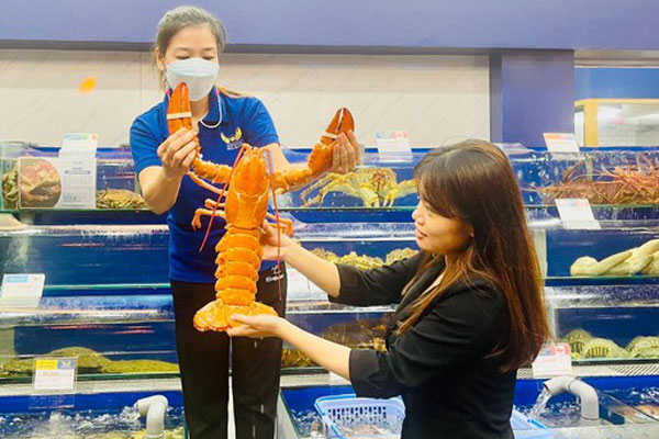 Đắt hơn cả tôm hùm, loại tôm này có giá gần 2 triệu/kg, khách đặt hàng cả tháng mới mua được-5