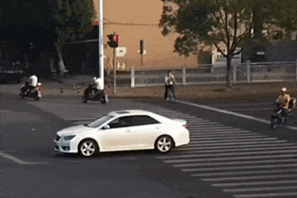 Bò rừng tấn công, húc bé gái văng lên không trung-1