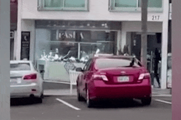 Cô gái bị giật đồng hồ và điện thoại giữa phố-1