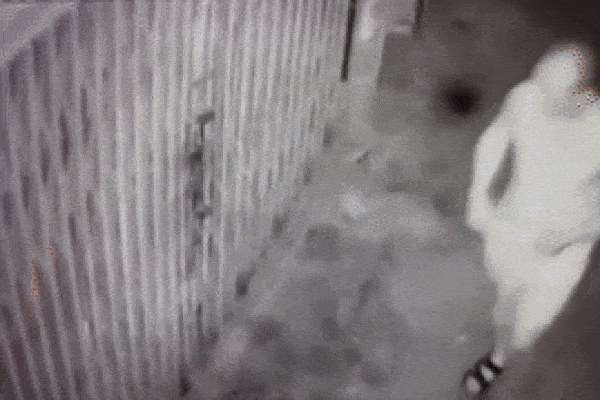 Cô gái bị gửi thư xin ngủ cùng đã rút đơn tố cáo-1