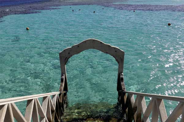 Hai nữ du khách bị cá mập cắn chết bất thường ở Ai Cập-1