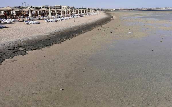 Hai nữ du khách bị cá mập cắn chết bất thường ở Ai Cập-2