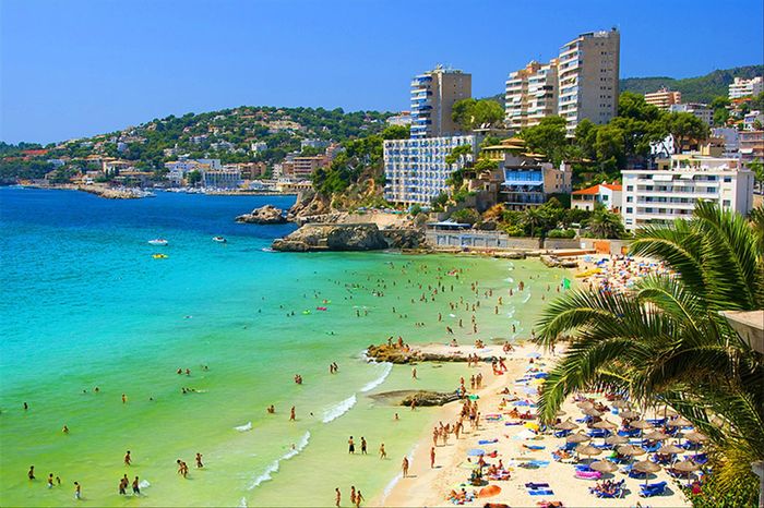 Bê bối của hai nghệ sĩ Việt tại Tây Ban Nha: Giữa hai luồng dư luận-1