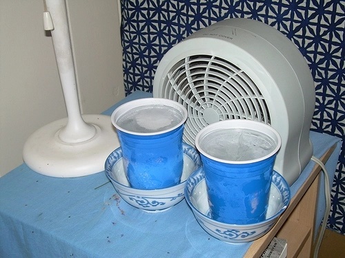 Một cốc nước không ngờ có thể hạ nhiệt căn phòng ngay lập tức mà không cần điều hòa nhiệt độ-2
