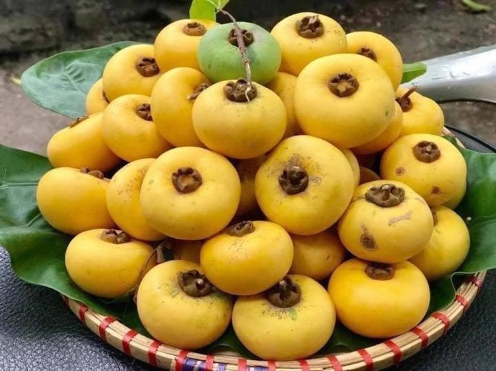Loại quả gây thương nhớ vào mua, giá chát gần 200.000 đồng/kg vẫn cháy hàng-1