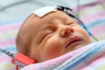 Có 2 loại CAY ĐẮNG, 3 loại NGỌT NGÀO: Cha mẹ cho con nếm trải sớm chừng nào cuộc đời con sớm tươi sáng chừng ấy-5