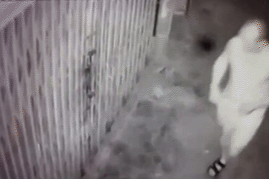 Nữ sinh viên sợ hãi thuật lại thời điểm bị người hàng xóm quấy rối xin ngủ cùng đêm nay-1