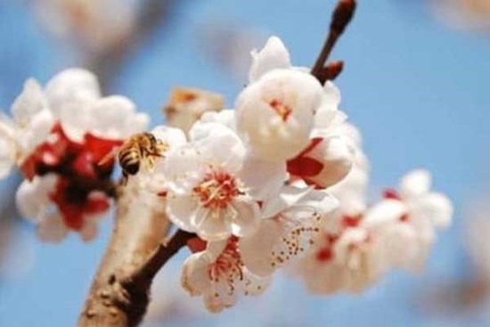 Bồ Tát phù hộ, 3 con giáp của cải tăng vọt, làm ăn phát tài, phú quý không thiếu trong 3 năm tới