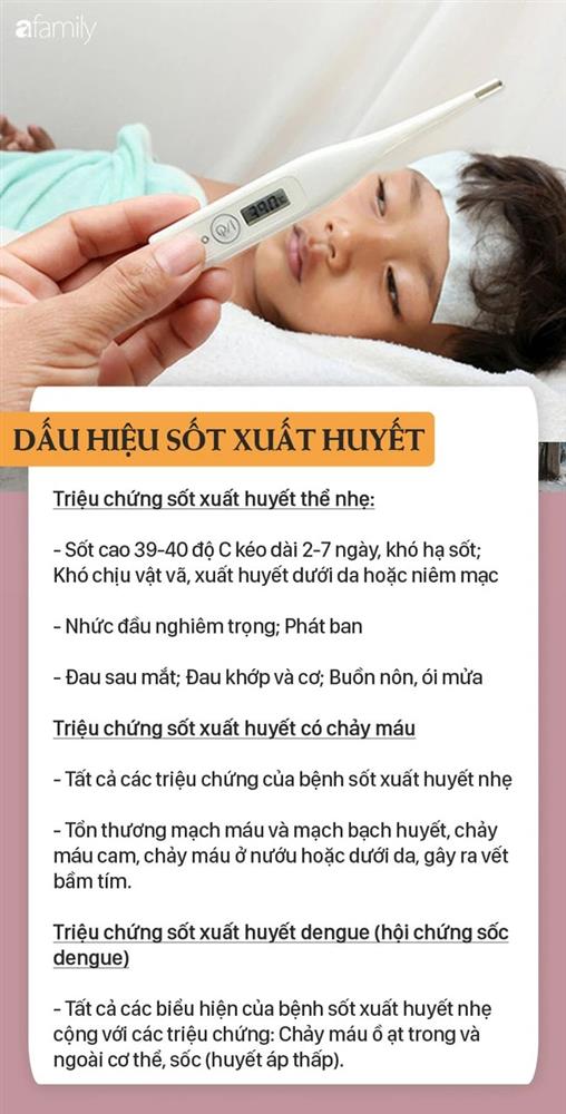 Cao điểm dịch sốt xuất huyết, 92.000 người mắc, 36 ca tử vong: Dấu hiệu mắc sốt xuất huyết cần đến viện ngay-3