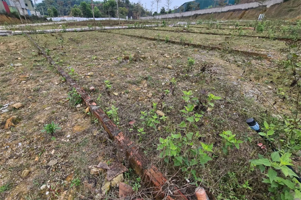 Ôm 3 mảnh đất lúc giá cao, nửa năm sau lỗ nặng-2