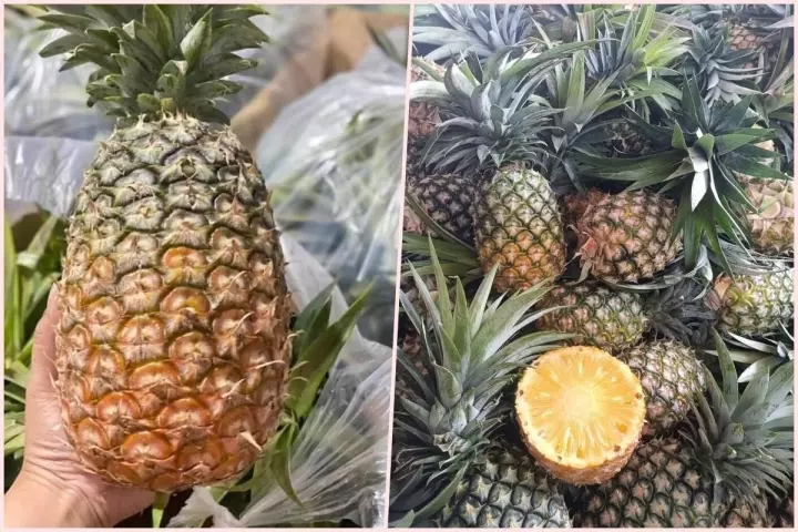 Dứa khổng lồ siêu rẻ hút khách, nườm nượp khách mua-1