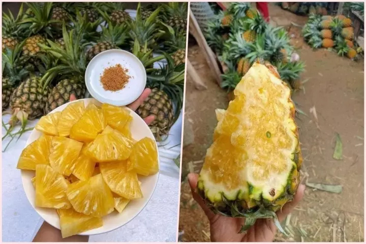 Dứa khổng lồ siêu rẻ hút khách, nườm nượp khách mua-3