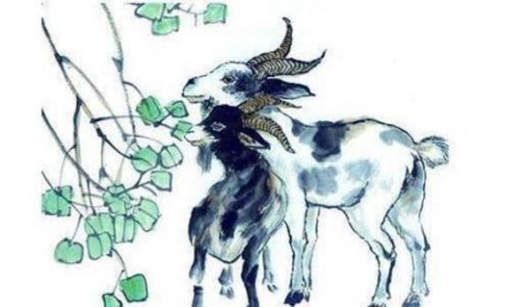 3 con giáp nửa đời gian khổ nhưng về già phú quý ngập nhà, sống trường thọ-1