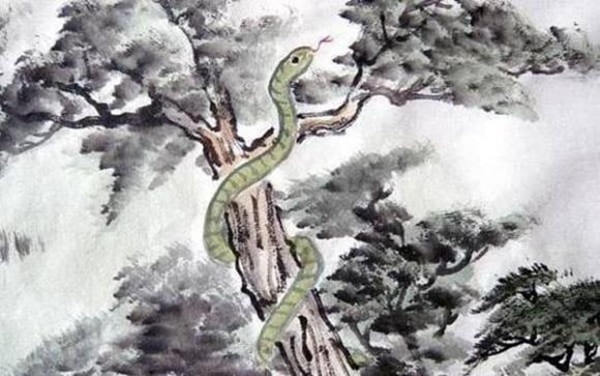 3 con giáp nửa đời gian khổ nhưng về già phú quý ngập nhà, sống trường thọ-2