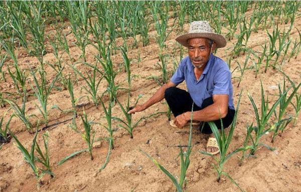 Vụ án đào mộ, trộm thi thể chấn động Trung Quốc: Lần tìm thủ phạm-3