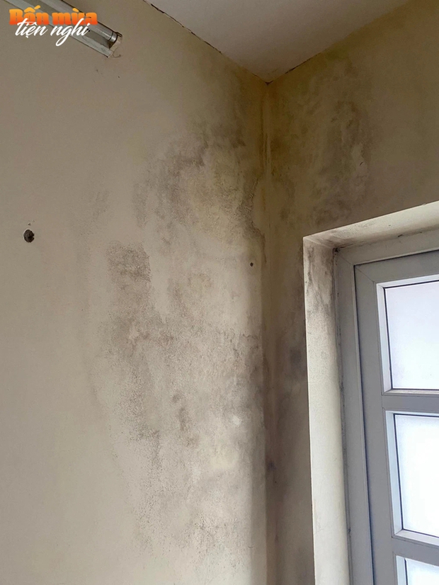Sau mưa lớn, tường nhà, trần nhà thấm nước dẫn đến bong tróc, nứt vỡ: Xử lý như thế nào?-4