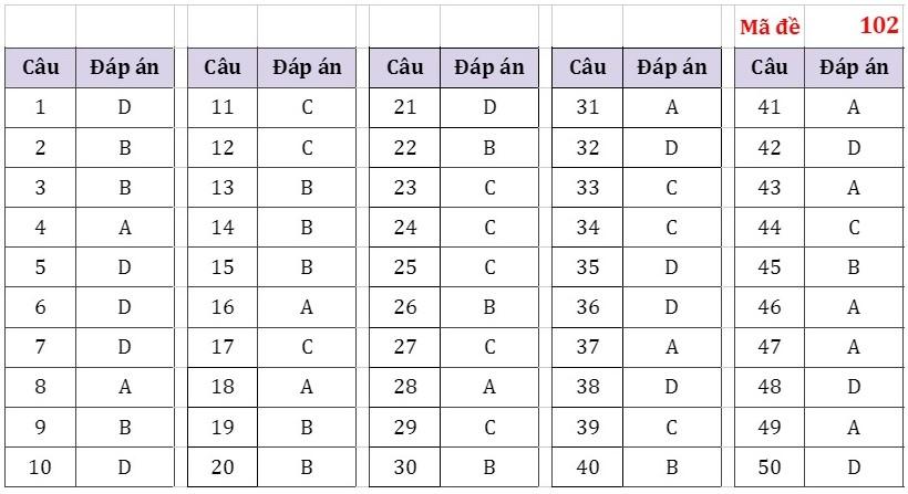 Đáp án tham khảo môn Toán thi tốt nghiệp THPT 2022-2